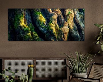 Wortels in het met mos bedekte bos