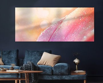 Delicate bloemblaadjes met dauwparels van Poster Art Shop