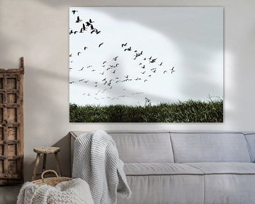 Een zwerm vogels van Janny Talhout