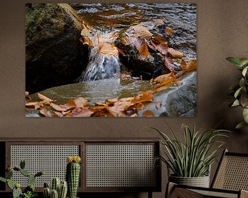 Autumn leaves in the stream