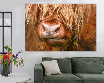 Königlich Schottischer Hochländer