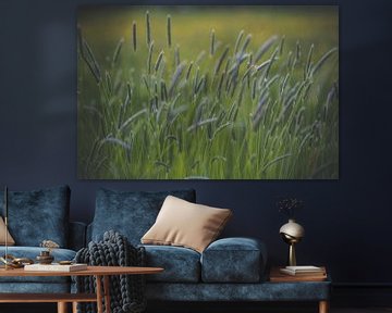 Grassen in bloei van Daniël Steenbergen