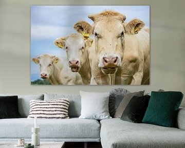 Close-up van drie bruine koeien van Ben Schonewille