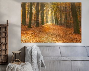 Pad door een goudkleurig bos tijdens een mooie zonnige herfst van Sjoerd van der Wal Fotografie