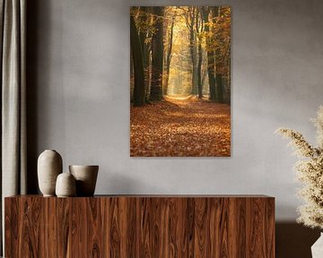 Pad door een goudkleurig bos tijdens een mooie zonnige herfst van Sjoerd van der Wal Fotografie