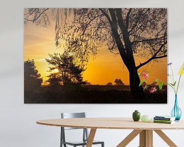 Zonsopgang over de heide in natuurgebied de Veluwe van Sjoerd van der Wal Fotografie