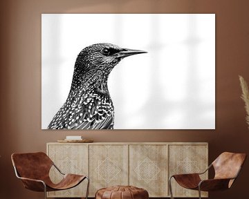 Spreeuwenportret van Danny Slijfer Natuurfotografie