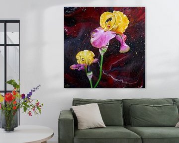 Zonsondergang - Iris - Iris van Anja Semling
