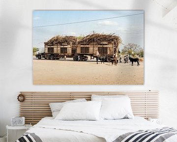 Au Swaziland, les enfants aiment la canne à sucre