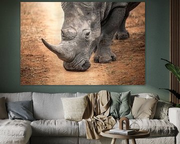 rhino with horn by Saskia Houben