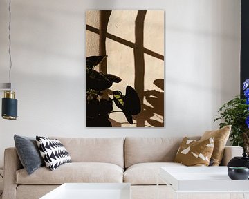 Portrait of a houseplant