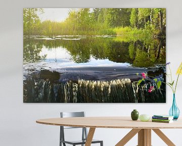 Kleine waterval in het bos met mos op stenen