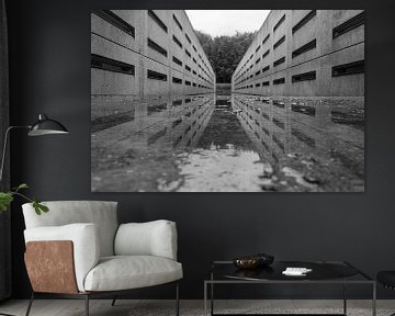 Het Deltawerk// Waterloopbos, Marknesse van Elisabeth