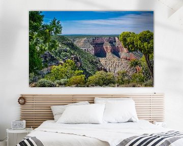  Wo der Grand Canyon beginnt, Arizona, USA von Rietje Bulthuis