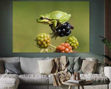 tree frog on blackberries 1 by Francois Debets
