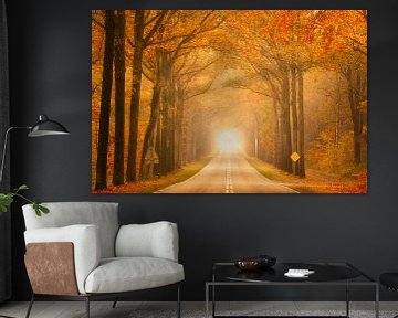 Herfstweg bij Exloo: Mystieke Tunnel met Mist en Warme Kleuren van KB Design & Photography (Karen Brouwer)