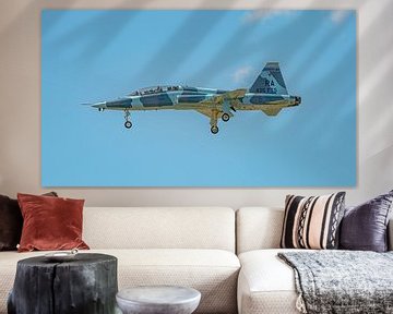 U.S. Air Force Northrop T-38 Talon. van Jaap van den Berg