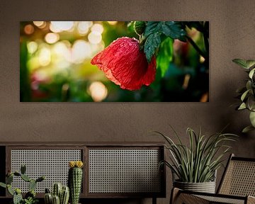 Hibiscus en fleurs dans le jardin sur Poster Art Shop