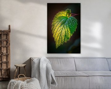 Green leaf in soft light by Poster Art Shop