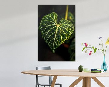 Heart-leaved plant in detail by Poster Art Shop