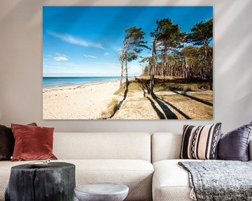 Ostsee - Weststrand auf dem Darß von Reiner Würz / RWFotoArt