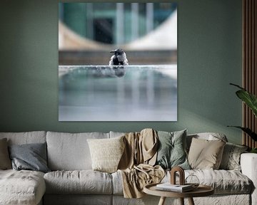 Raven reflection - Mysticism behind the stairs by Karsten Rahn