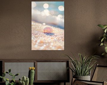 Coquillage sur la plage au soleil sur Poster Art Shop
