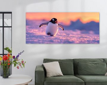 Pinguïn loopt over besneeuwd ijs van Poster Art Shop