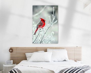 Roodkopklauwier in wintermagie van Poster Art Shop