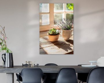 Sonnenlicht auf Pflanzenarrangement von Poster Art Shop