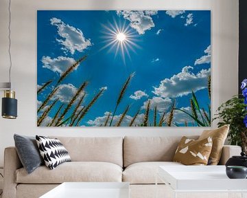 Bright sunshine over fields by Poster Art Shop