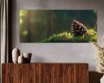 Tannenzapfen im Sonnenlicht von Poster Art Shop