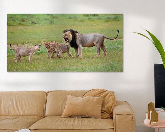 Aperçu de la chambre