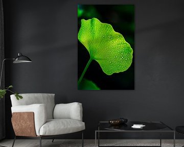 Drops of fresh green leaf details by Poster Art Shop