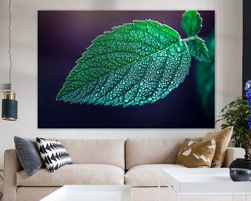 Dripping leaf with moist droplets by Poster Art Shop