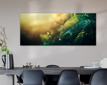 Dripping leaf in soft light by Poster Art Shop