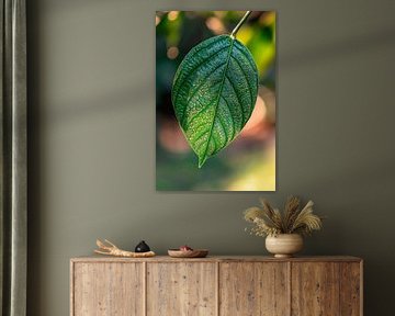 Tropical leaf with water droplets by Poster Art Shop