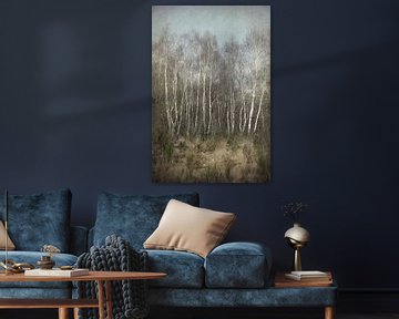 Silver Birch