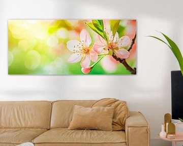 Delicate cherry blossoms in the sunlight by Poster Art Shop