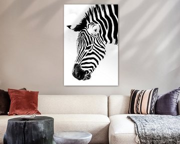 Zebra hoofd tot het minimum beperkt van peters-fotos.nl