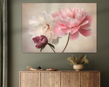 Zarte Pfingstrosen in Pastellfarben von Poster Art Shop