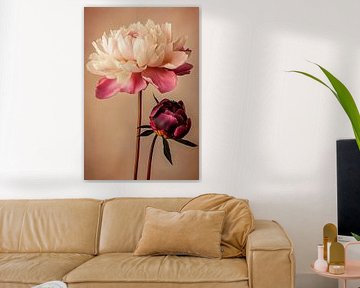 Zarte Pfingstrosen in Pastellfarben von Poster Art Shop