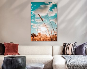 Sunbeams over a golden field by Poster Art Shop