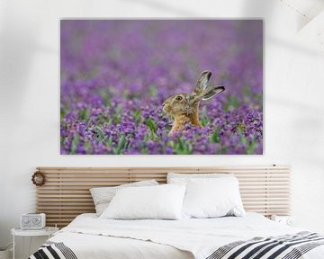 Lièvre dans un champ de jacinthes violettes sur Menno van Duijn