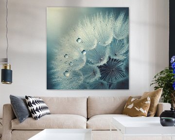Paardenbloempluis in Blauwe Tinten: Close-Up met Waterdruppels van KB Design & Photography (Karen Brouwer)