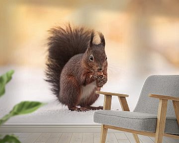 Red squirrel in the Snow: Winter scene with warm yellow light by KB Design & Photography (Karen Brouwer)