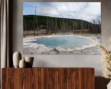 Thermal area in Yellowstone national park, USA