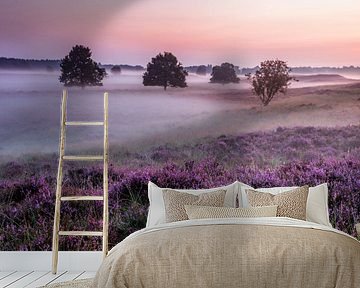 Paarse Heide en mist Gasterse Duinen van R Smallenbroek