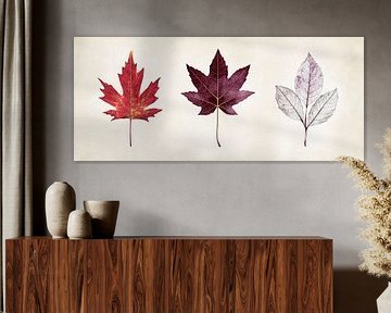 Herbstliches Farbenspiel der Blätter von Poster Art Shop