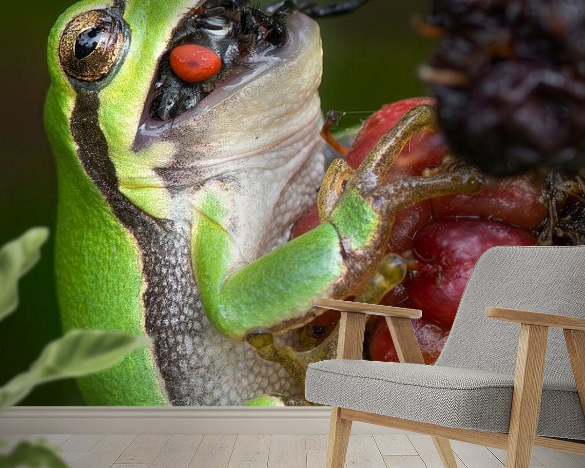 Raumvorschau